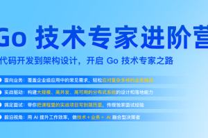 Go技术专家进阶营 从代码开发到架构设计，开启Go技术专家之路（完结）