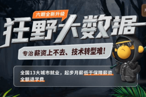 大数据直播课-狂野大数据